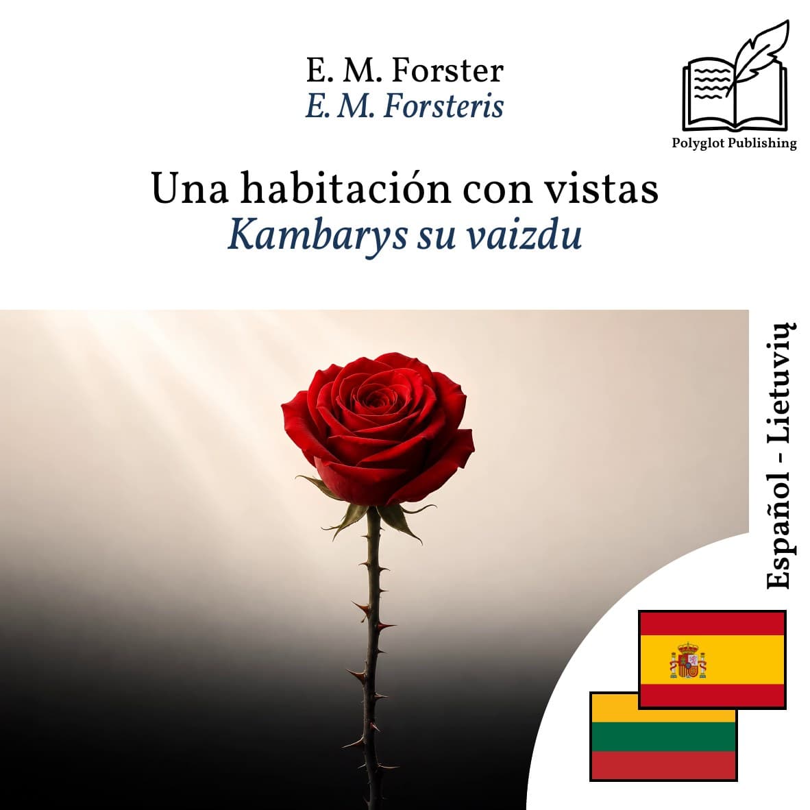 Kambarys su vaizdu