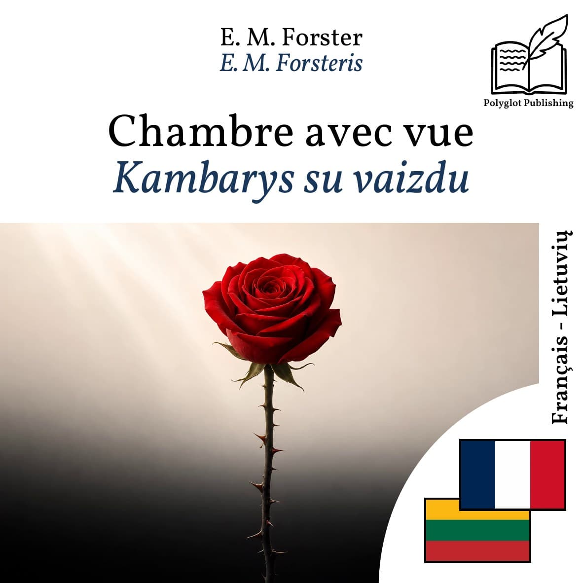Kambarys su vaizdu