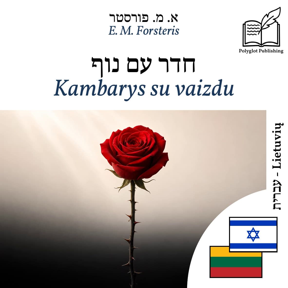 Kambarys su vaizdu