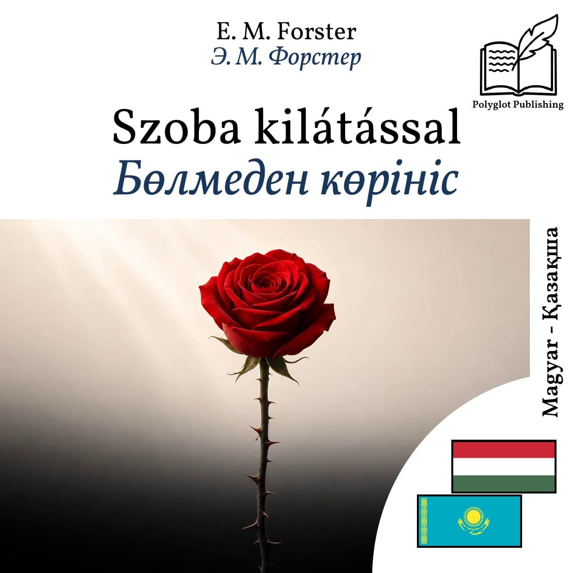 Бөлмеден көрініс