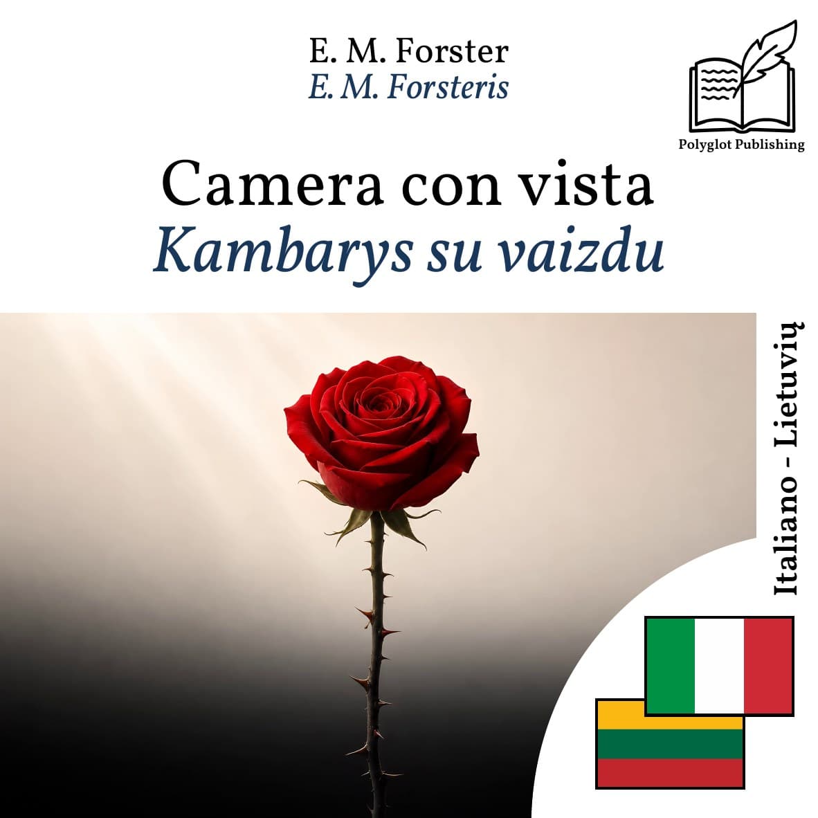 Kambarys su vaizdu