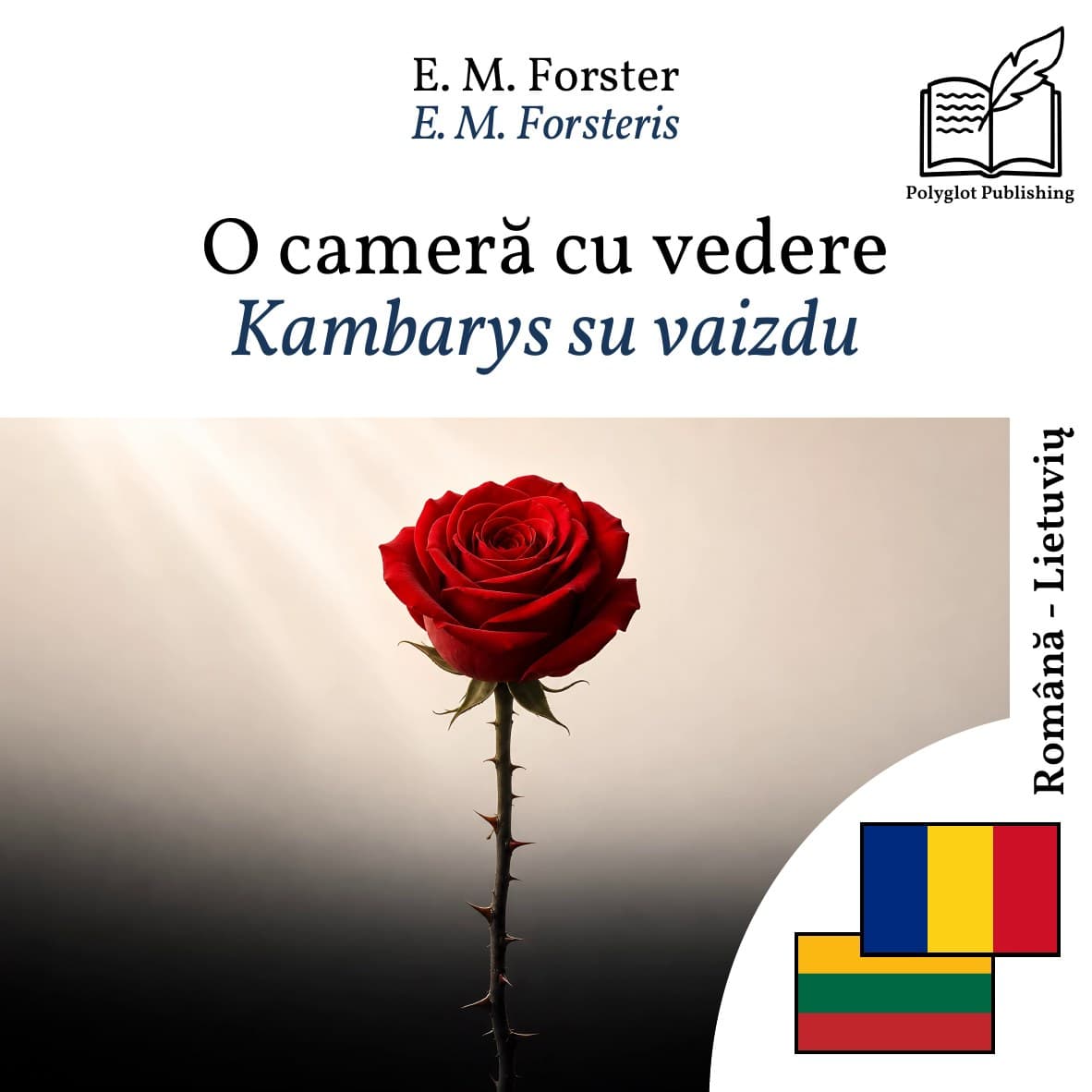 Kambarys su vaizdu