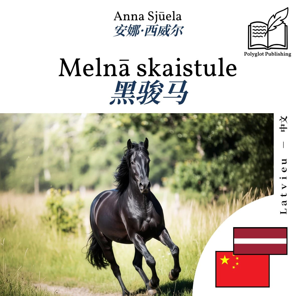 黑骏马