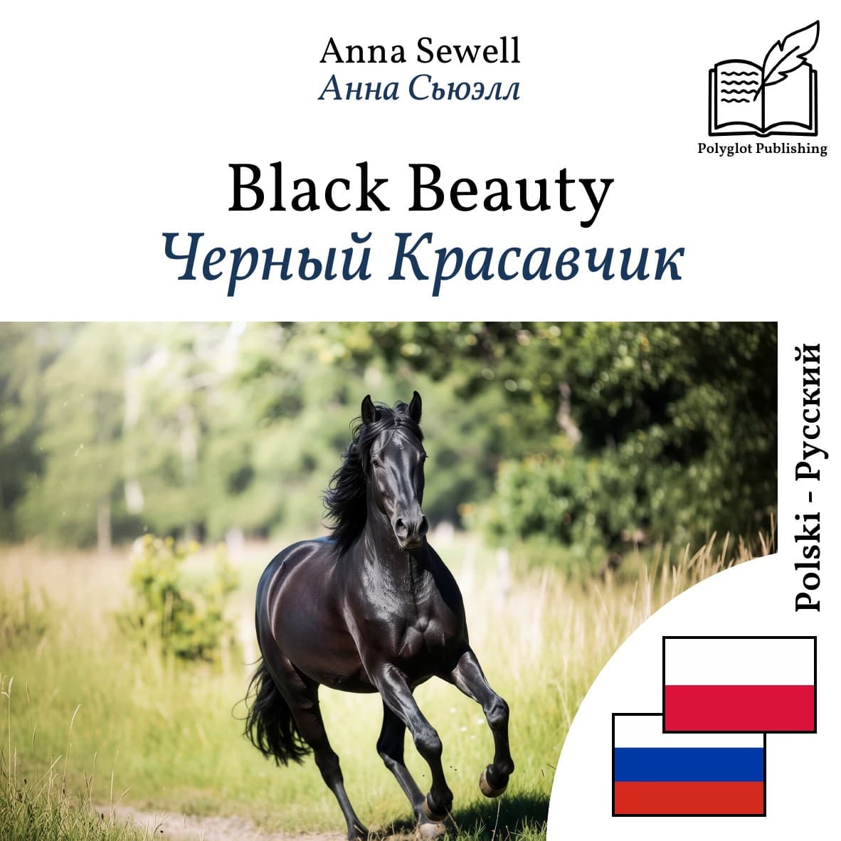 Черный Красавчик
