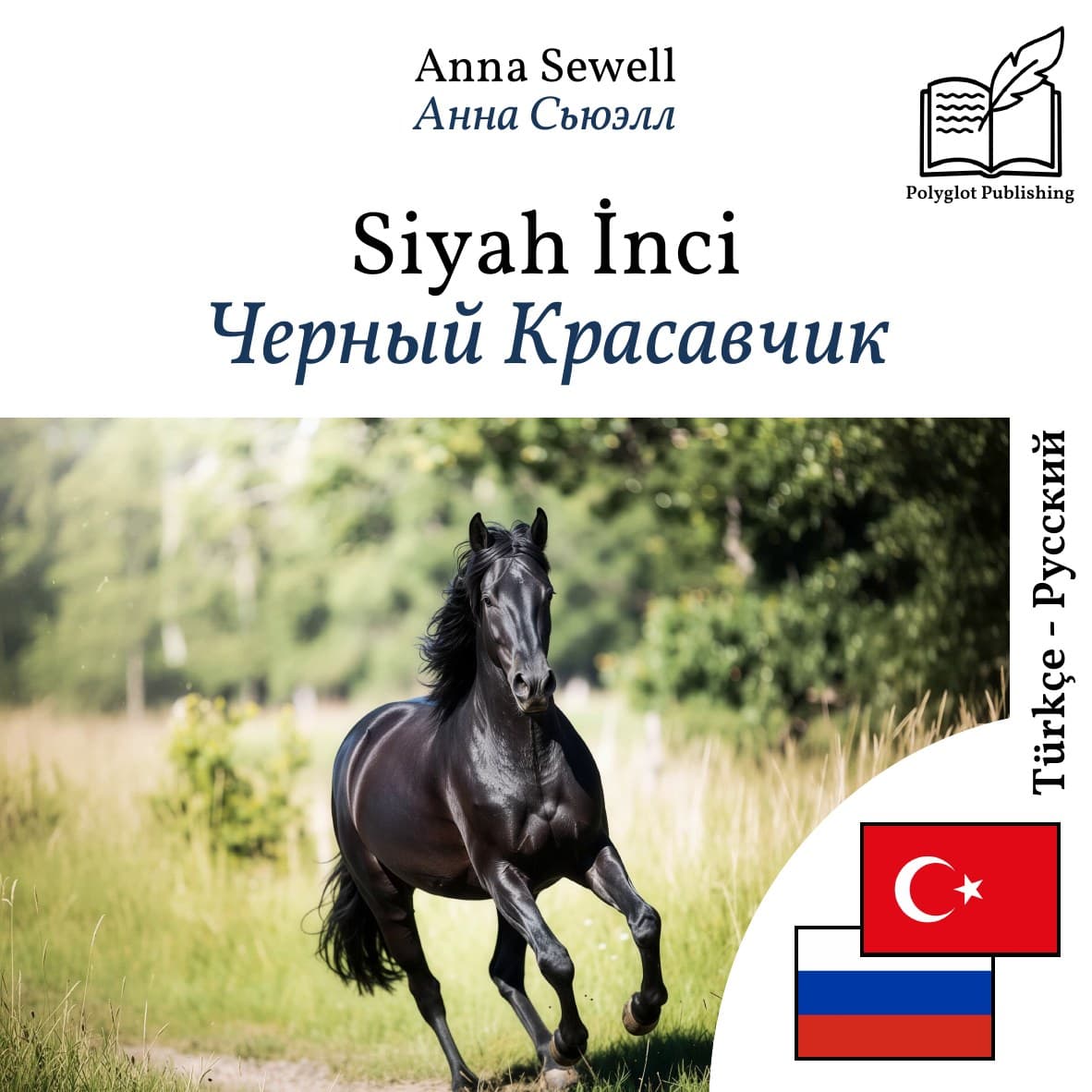 Черный Красавчик