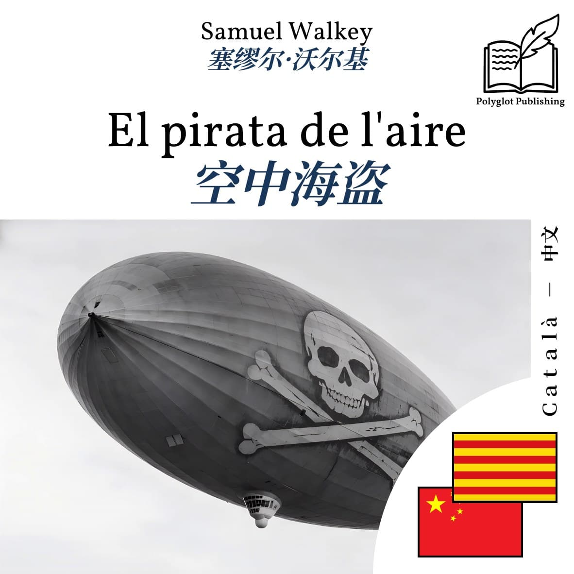 空中海盗