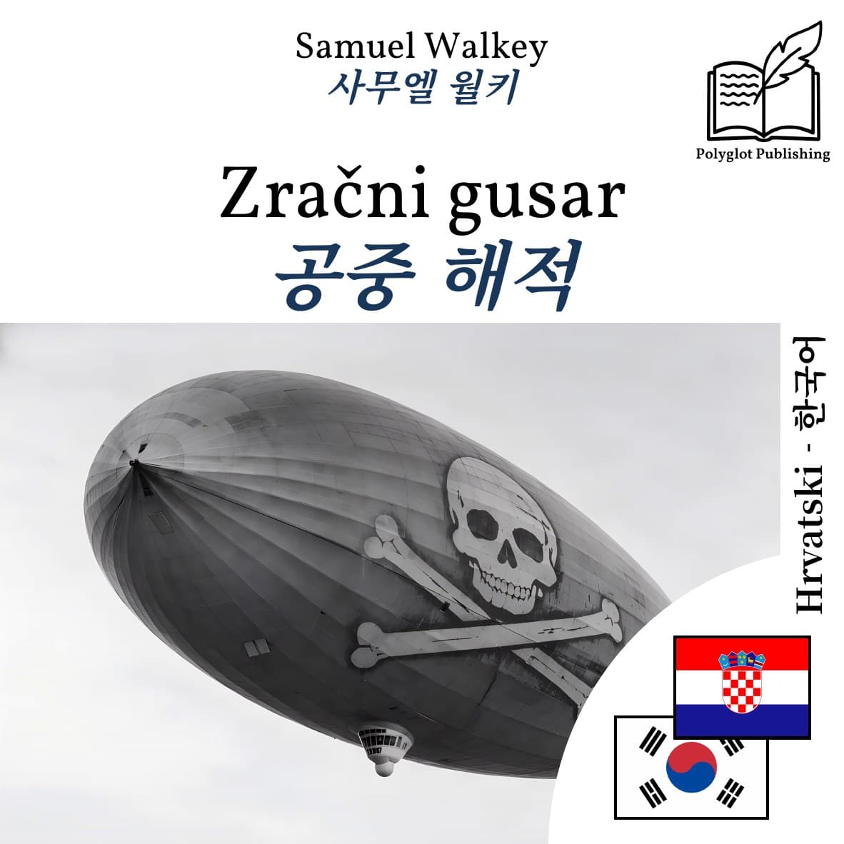 공중 해적