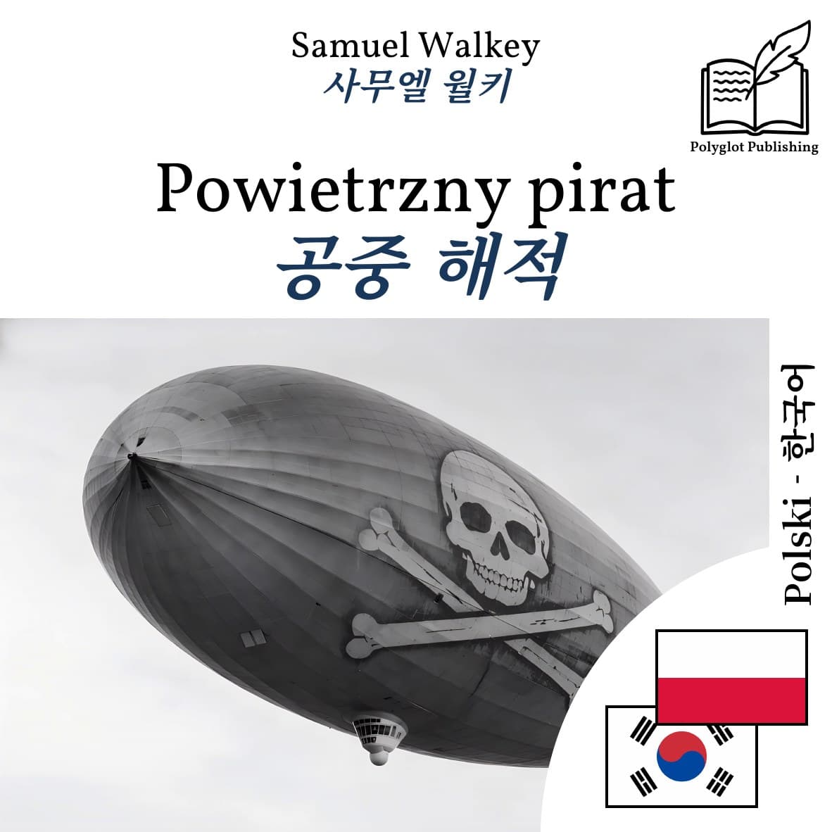 공중 해적