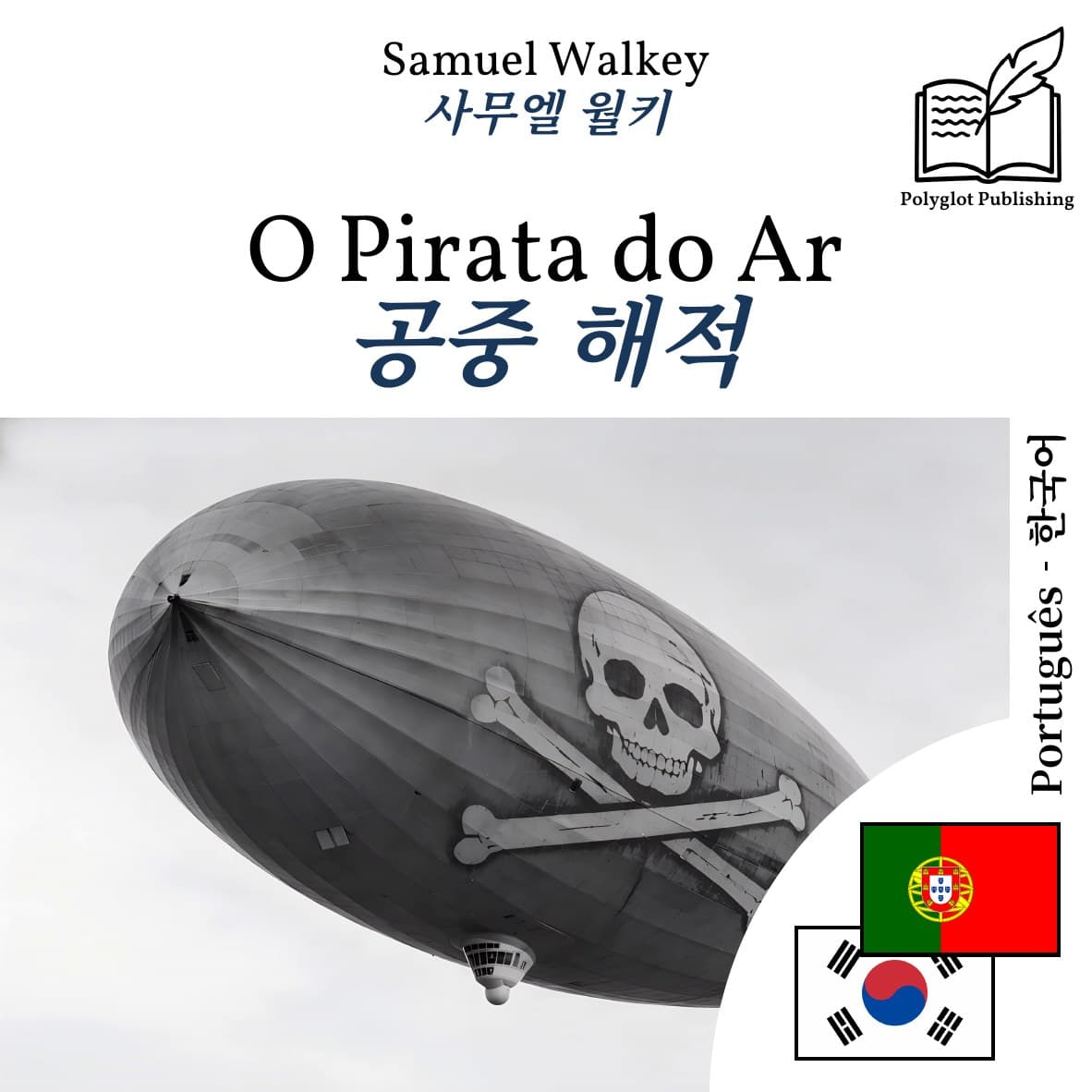 공중 해적
