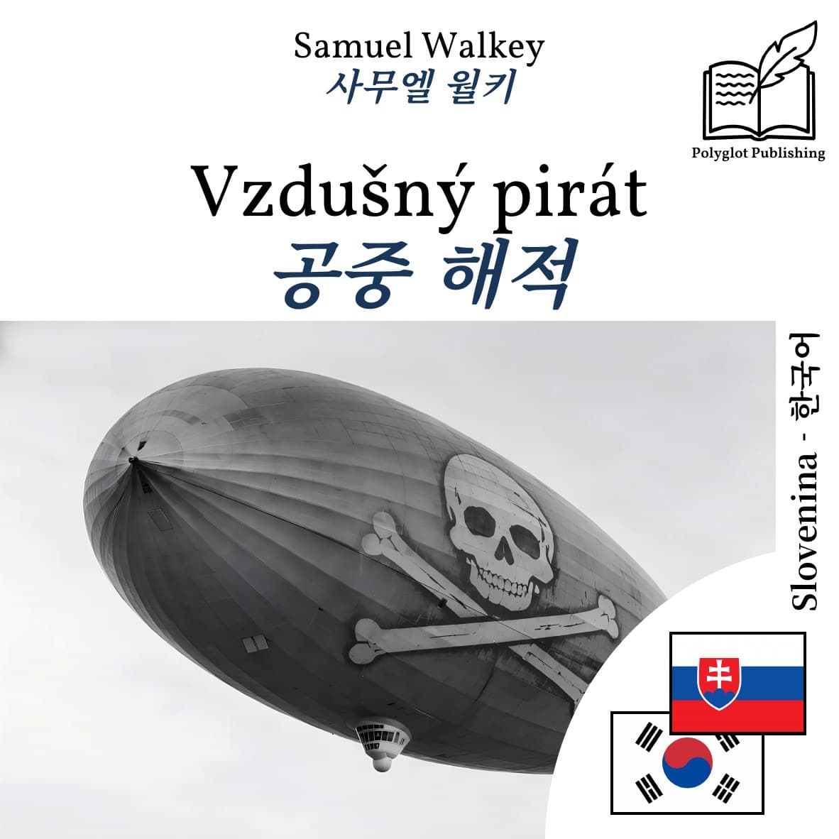 공중 해적