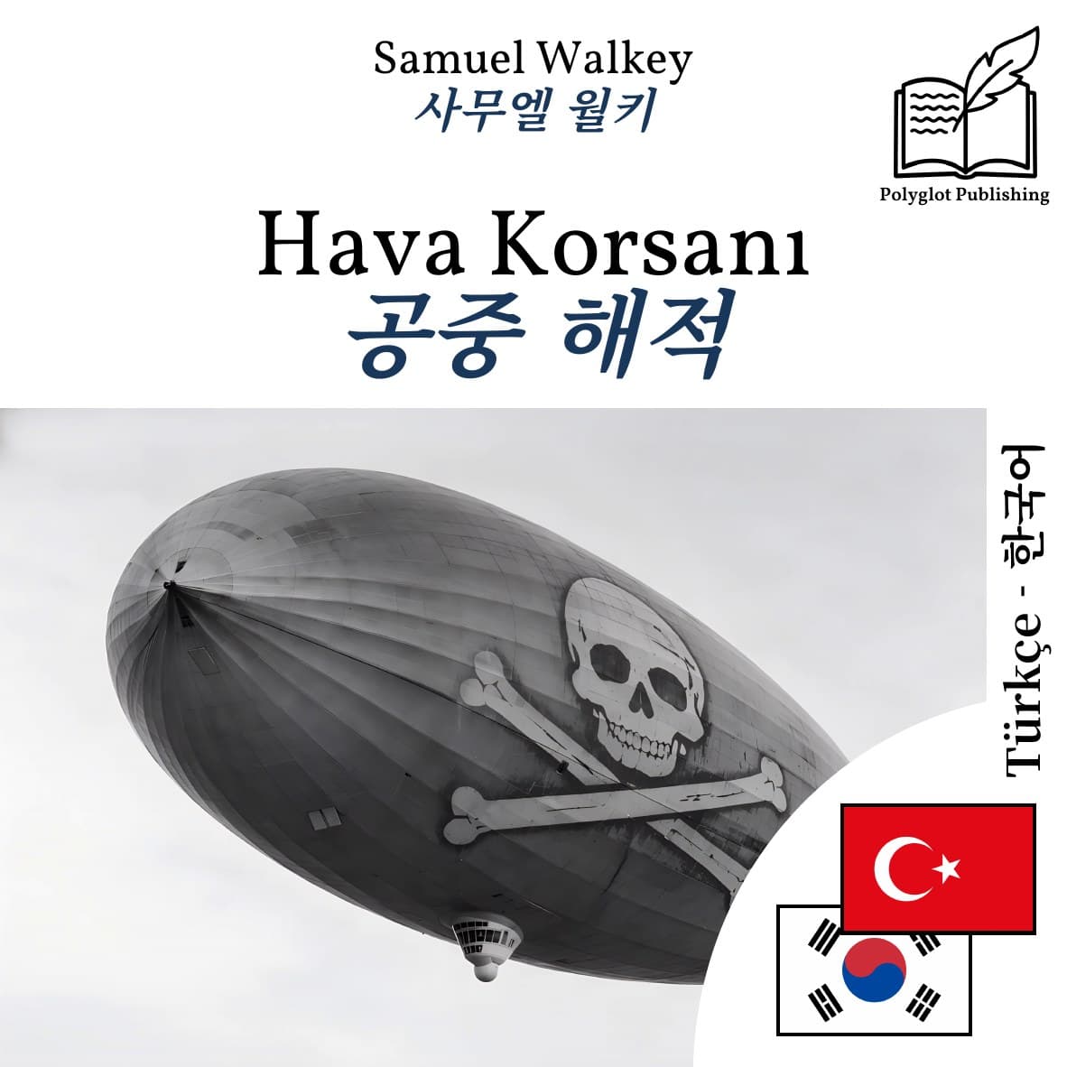 공중 해적