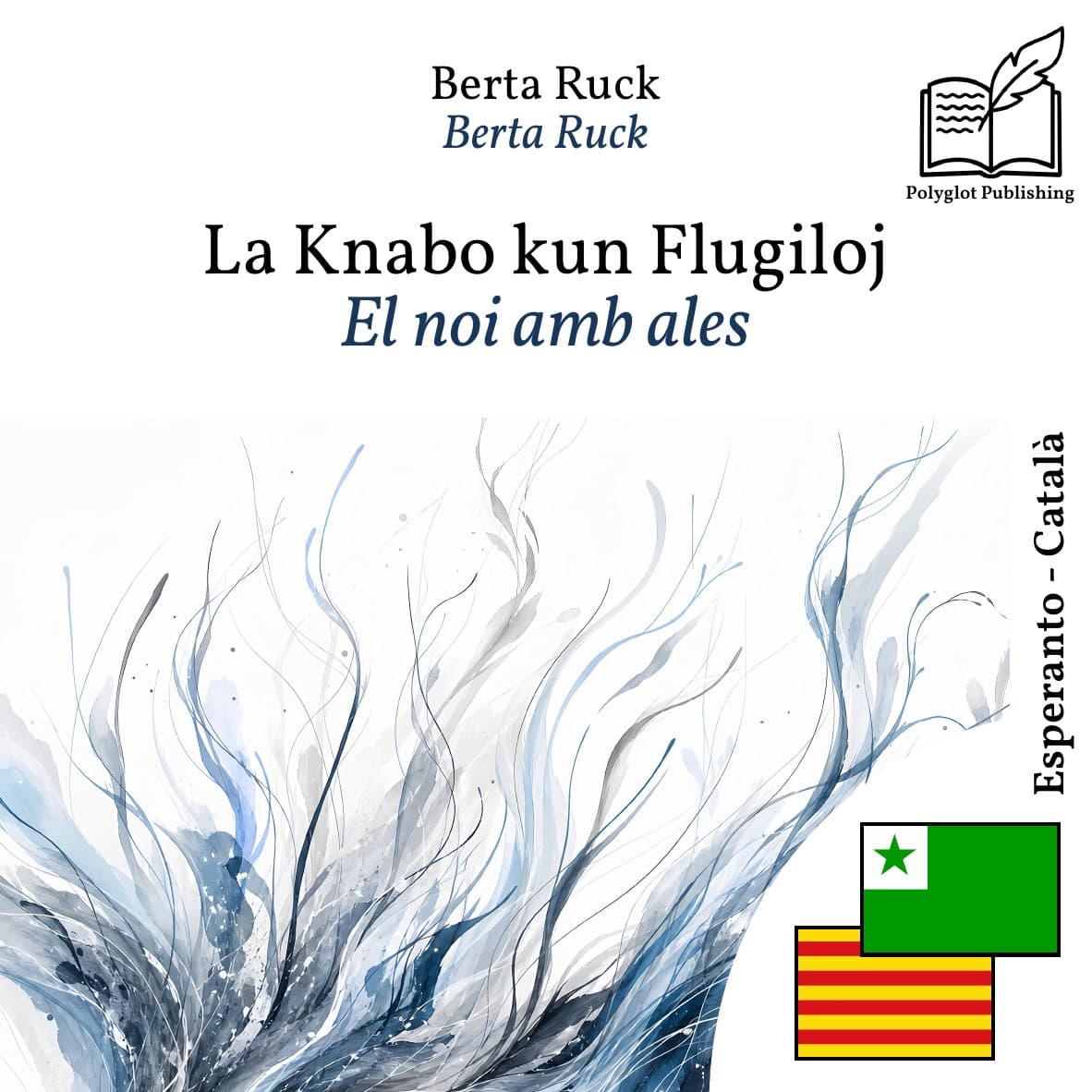 El noi amb ales